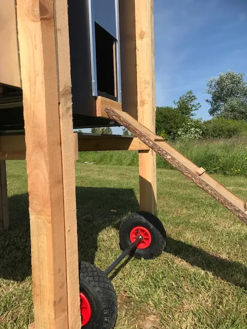 detai; kipgoed mini